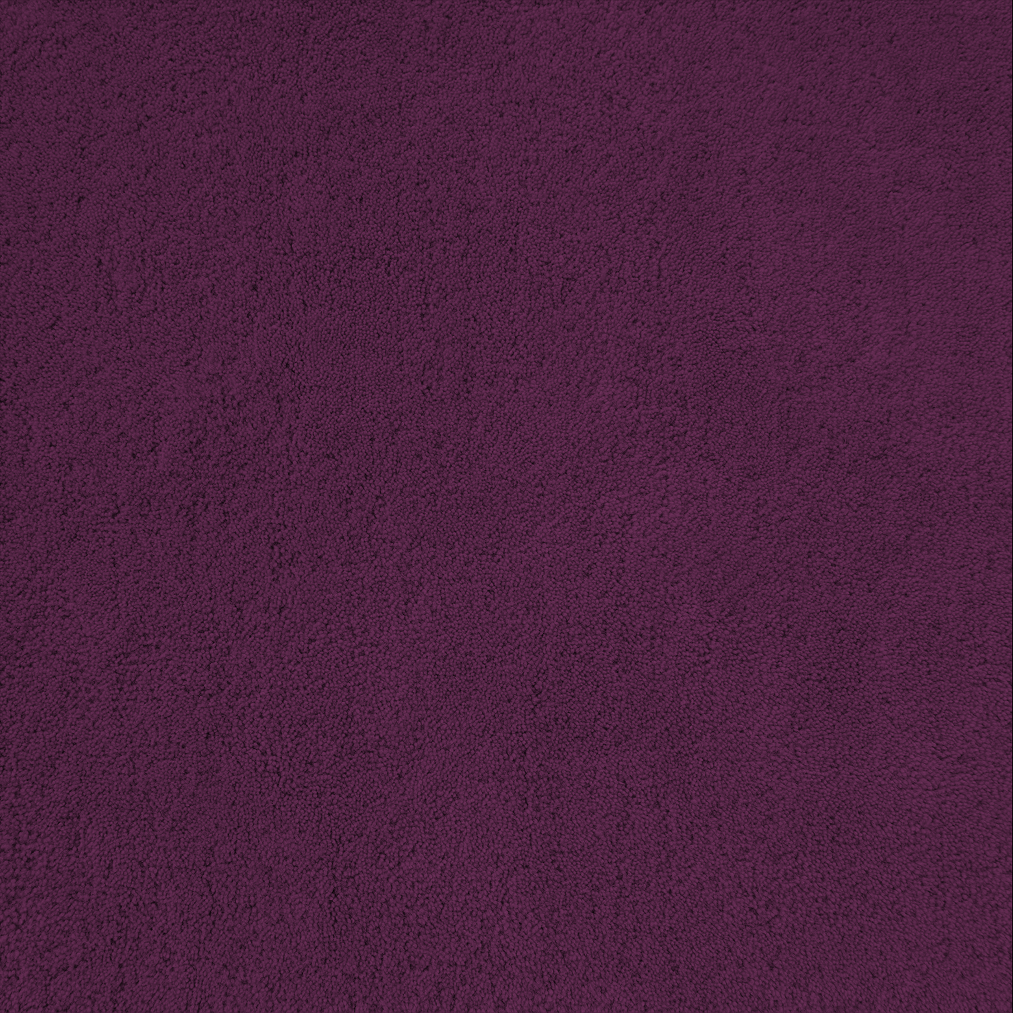 Drake Purple Rug