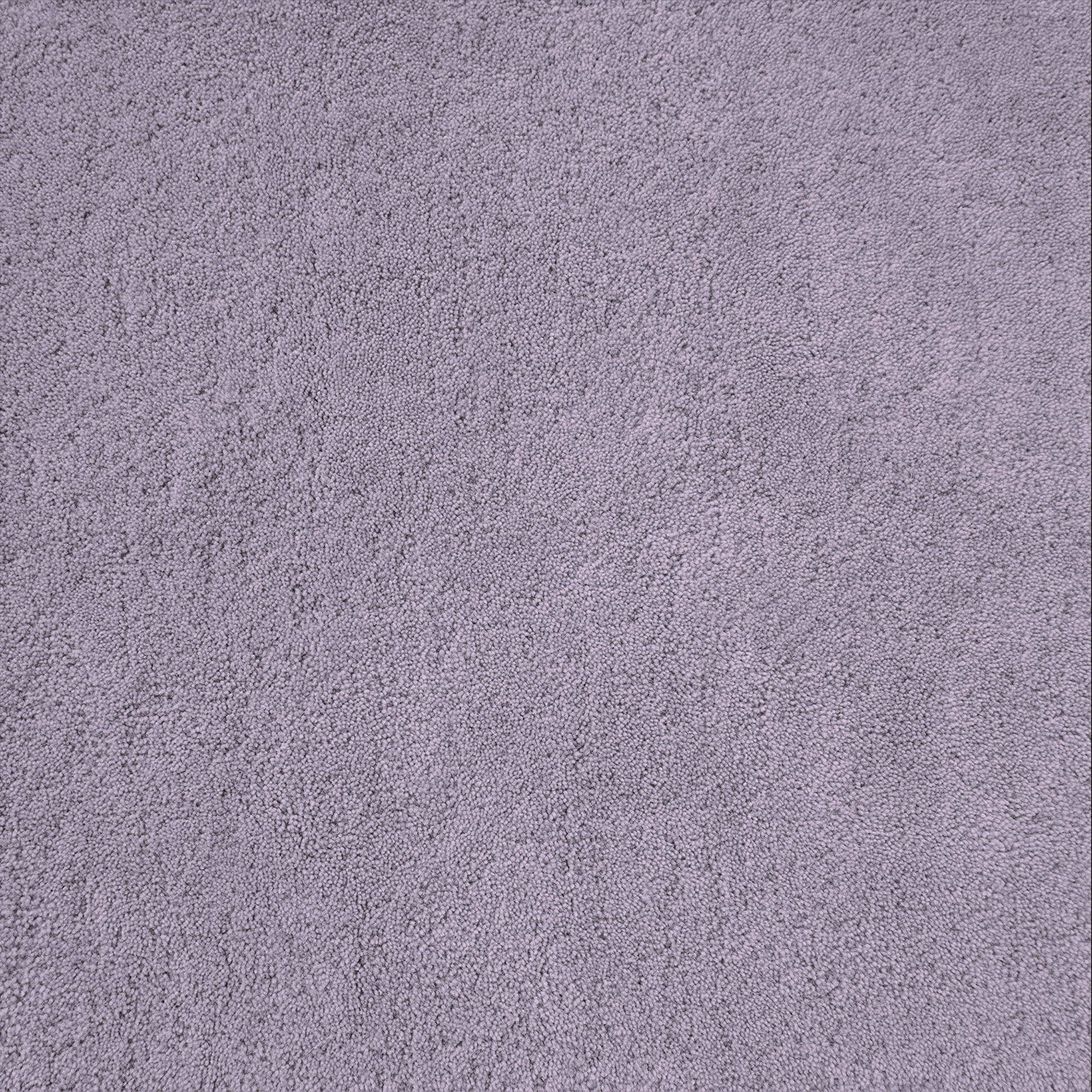 Calm Purple Rug