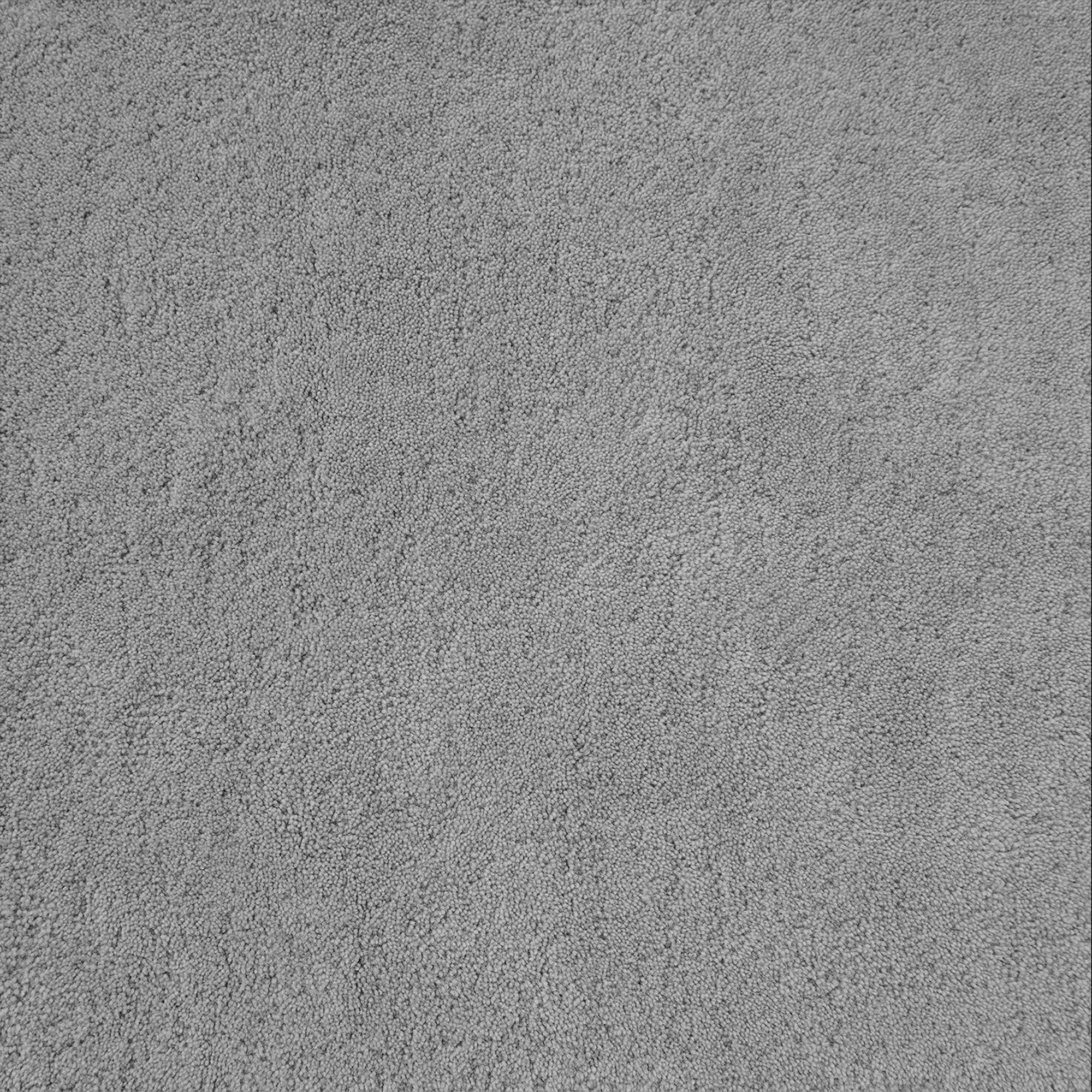Salt Grey Rug