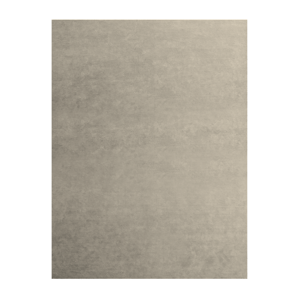 Ever Beige Rug