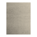 Ever Beige Rug