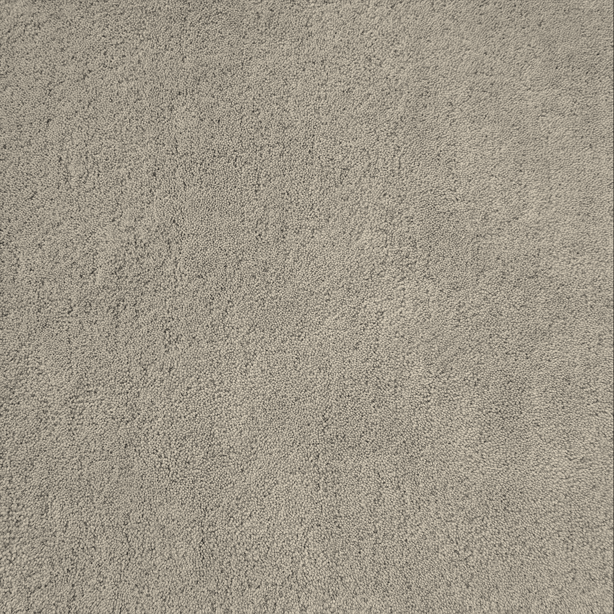 Ever Beige Rug