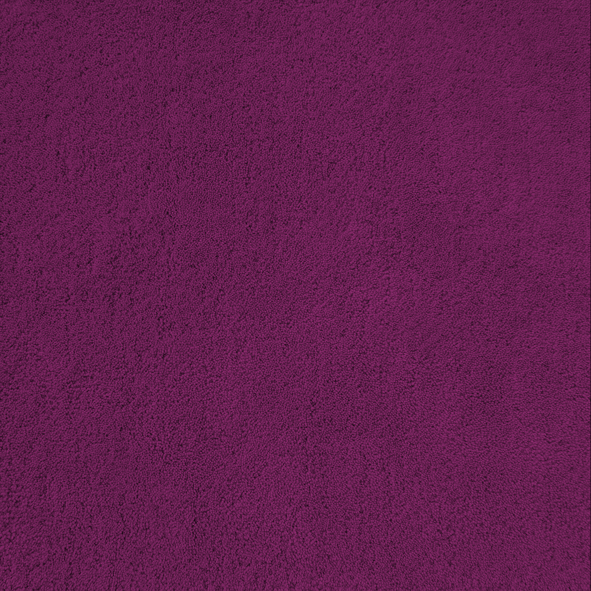 Hot Pink Rug