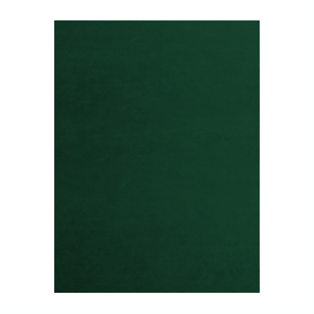 Sea Green Rug