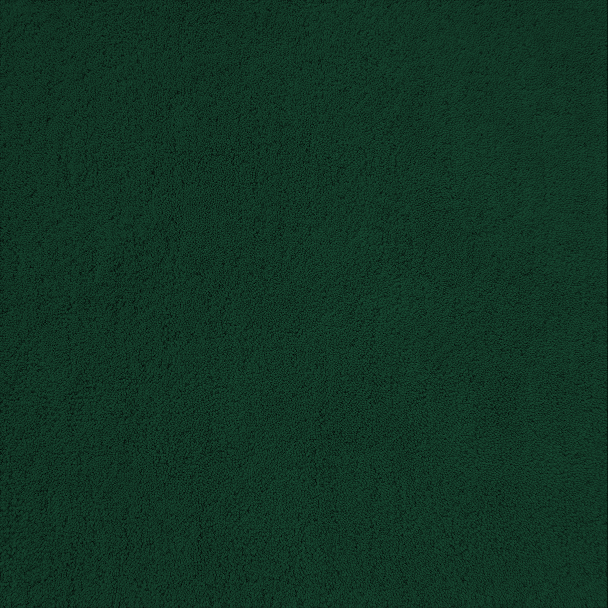 Sea Green Rug