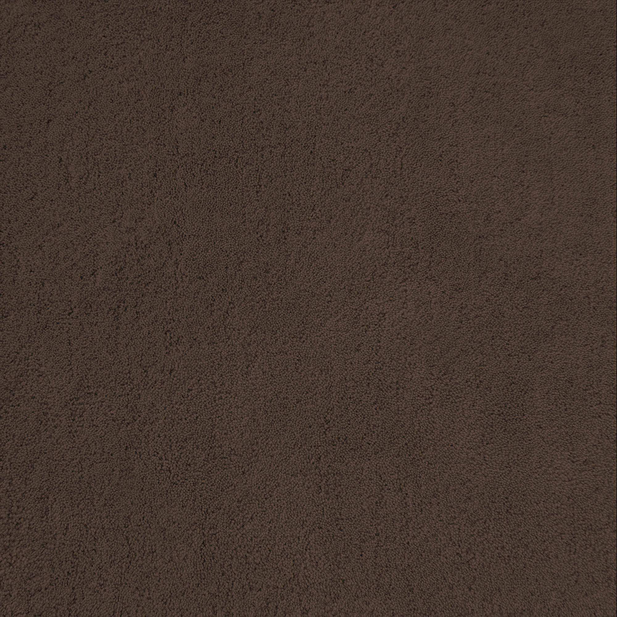 Mud Brown Rug